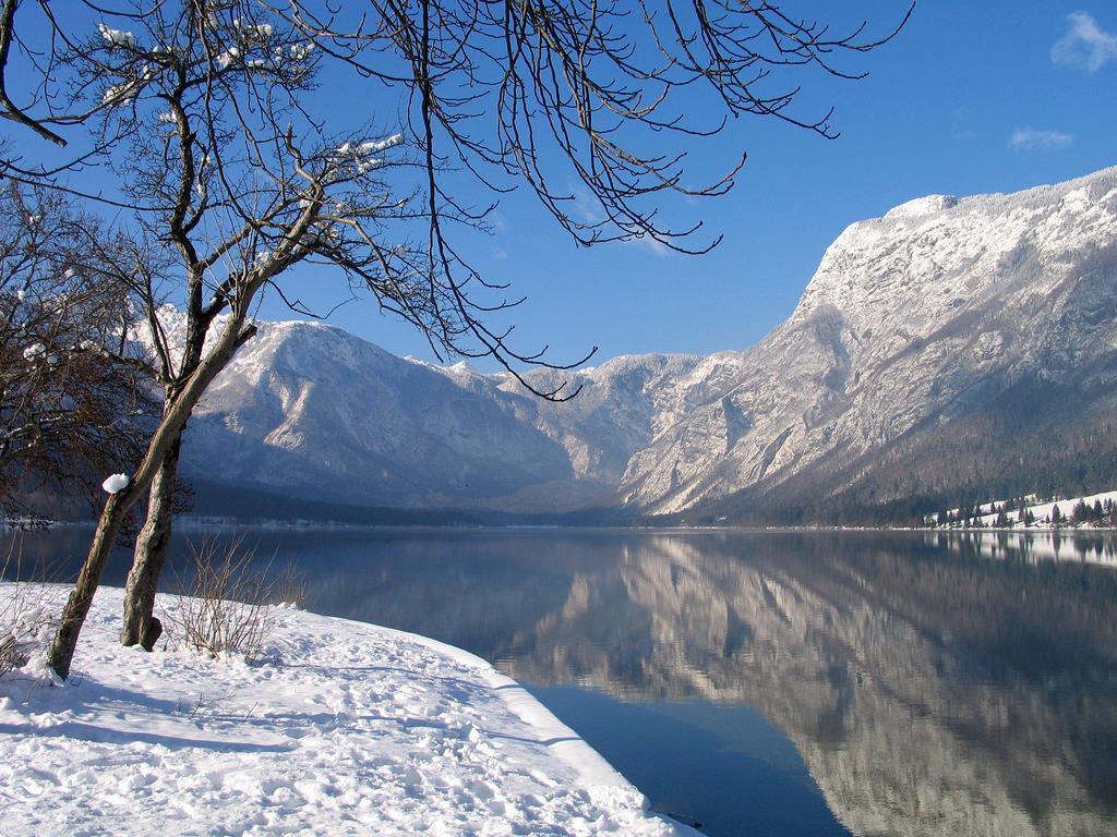 Apartment Dijak Bohinj Exterior foto